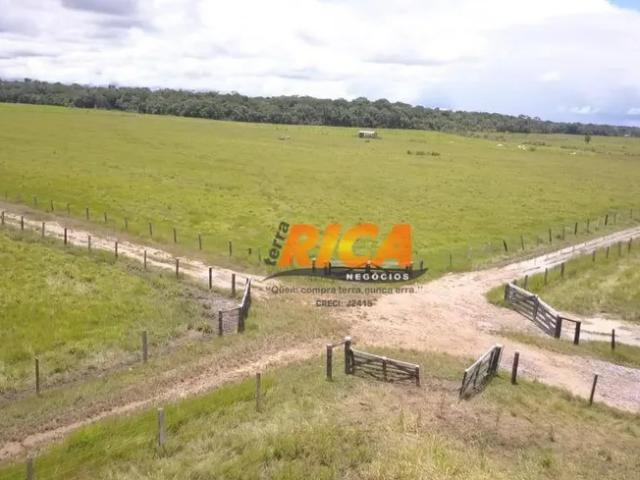 Fazenda venda em Região Geográfica Imediata de Porto Velho, Porto Velho