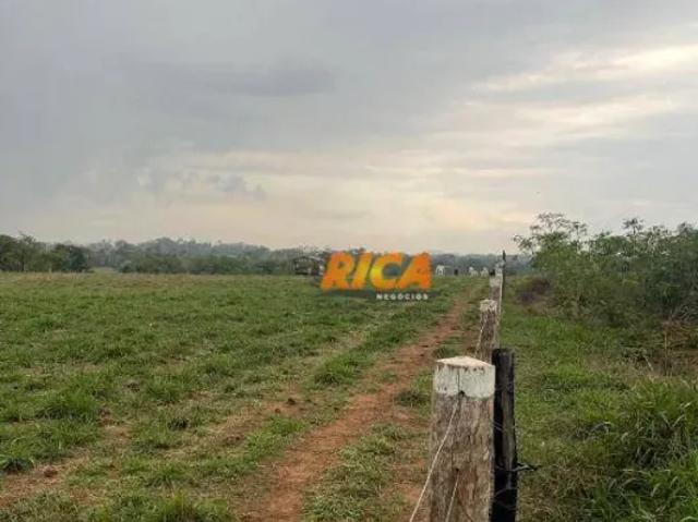 Fazenda venda em Região Geográfica Imediata de Ji-Paraná, Urupa