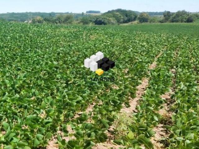 Sítio e chácara venda em Região Geográfica Imediata de Santa Cruz do Sul, Encruzilhada do Sul