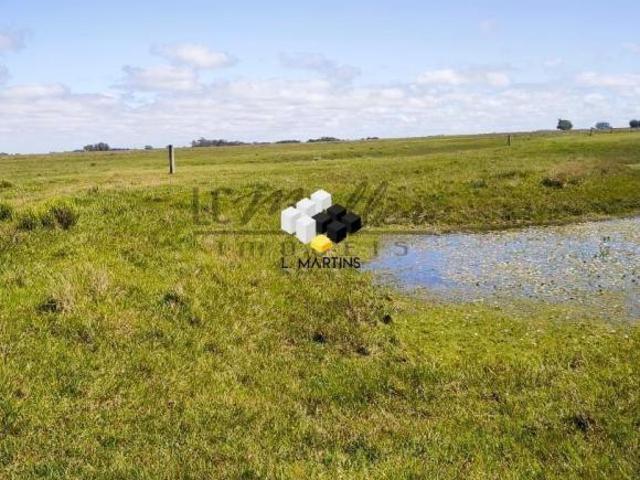 Sítio e chácara venda em Região Geográfica Imediata de Pelotas, Aglomeração Urbana do Sul