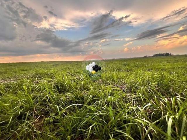 Sítio e chácara venda em Região Geográfica Imediata de São Gabriel - Caçapava do Sul, São Gabriel
