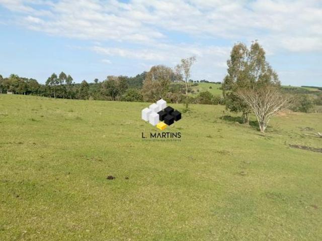Sítio e chácara venda em Região Geográfica Imediata de Marau, Vila Maria