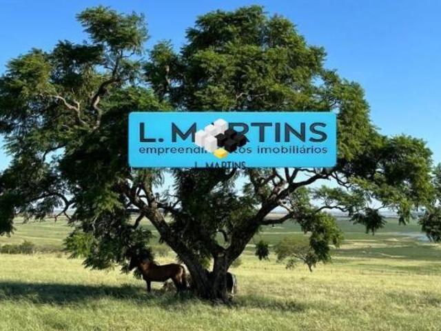 Sítio e chácara venda em Região Geográfica Imediata de Uruguaiana, Alegrete