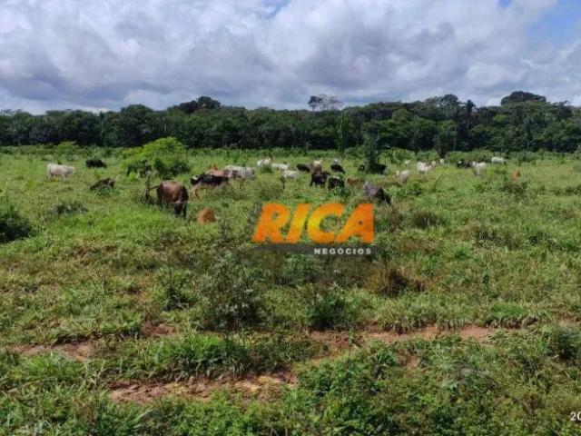 Fazenda venda em Região Geográfica Imediata de Porto Velho, Porto Velho