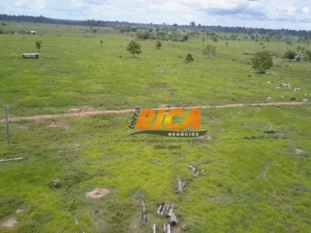 Fazenda venda em Região Geográfica Imediata de Porto Velho, Candeias do Jamari