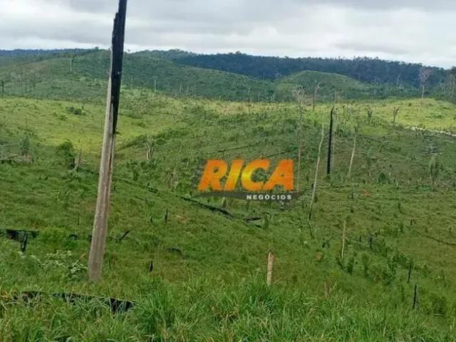 Fazenda venda em Apuí, Região Norte