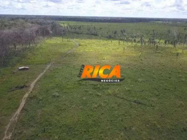 Fazenda venda em Região Geográfica Imediata de Lábrea, Canutama
