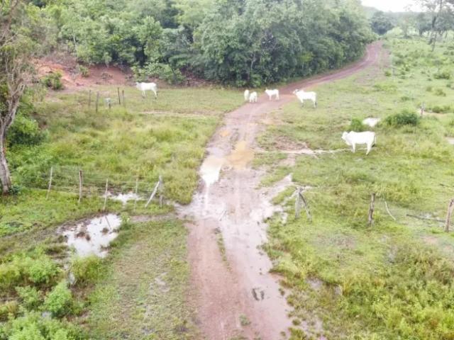 Fazenda venda em Região Geográfica Imediata de Palmas, Palmas