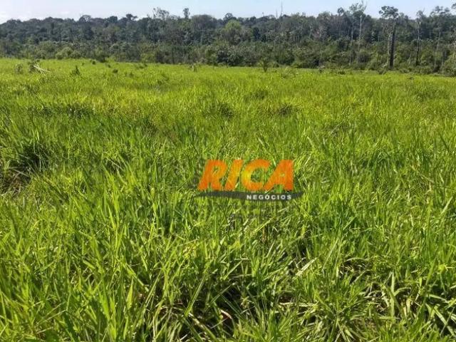 Fazenda venda em Região Geográfica Imediata de Porto Velho, Porto Velho
