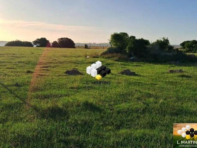 Sítio e chácara venda em Região Geográfica Imediata de Pelotas, Aglomeração Urbana do Sul