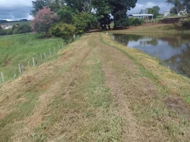Sítio e chácara venda em Região Imediata de Ribeirão Preto, Região Metropolitana de Ribeirão Preto