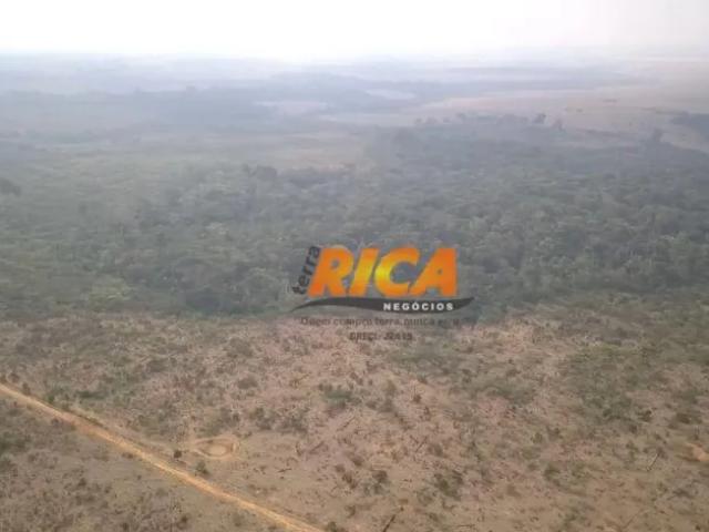 Fazenda venda em Cujubim, Região Norte