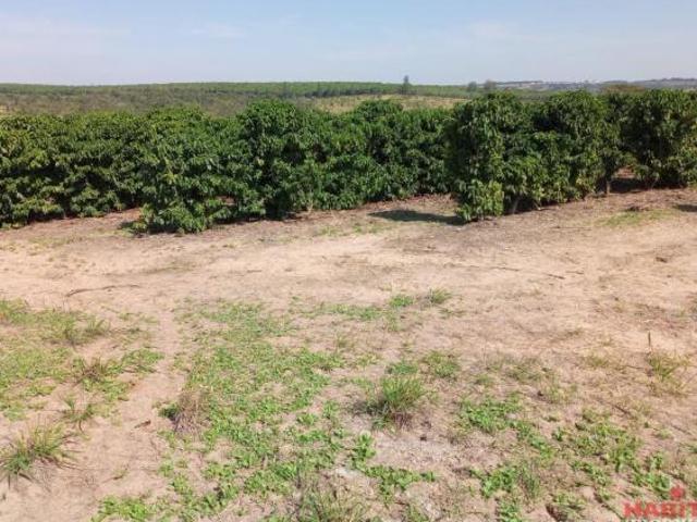 Sítio e chácara venda em Região Imediata de Marília, Garça