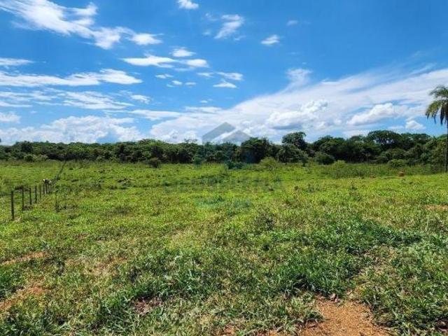 Sítio e chácara venda em Região Geográfica Imediata de Dores do Indaiá, Dores do Indaiá