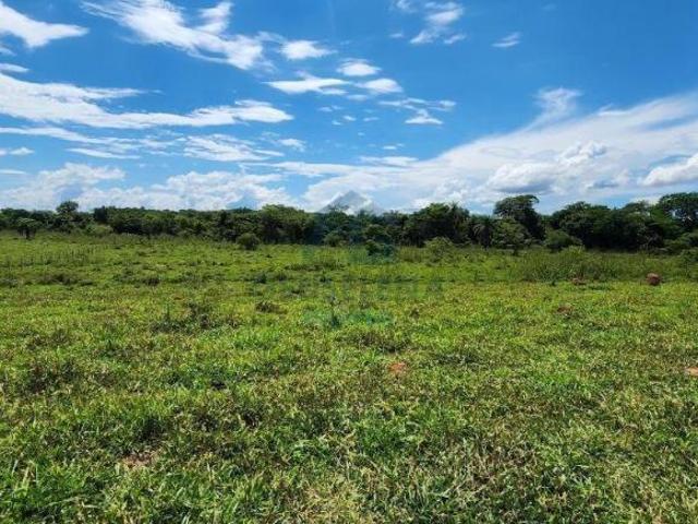 Sítio e chácara venda em Região Geográfica Imediata de Dores do Indaiá, Dores do Indaiá