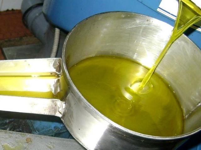 Loja venda em Castelo Branco