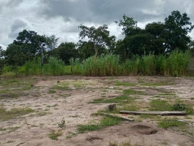 Sítio e chácara venda em Região Geográfica Imediata de Januária, Januária