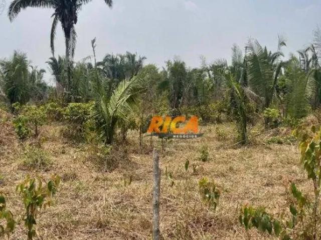 Fazenda venda em Região Geográfica Imediata de Porto Velho, Porto Velho