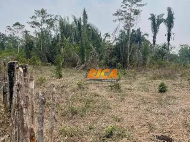 Fazenda venda em Região Geográfica Imediata de Porto Velho, Porto Velho