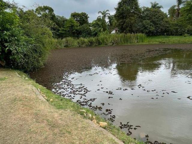 Sítio e chácara venda em Região Imediata de São Paulo, Região Metropolitana de São Paulo