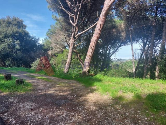 Terreno venda em Estefânea, Sintra