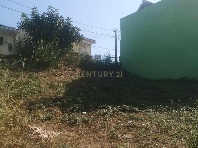 Terreno venda em Catujal, Santiago Dos Velhos
