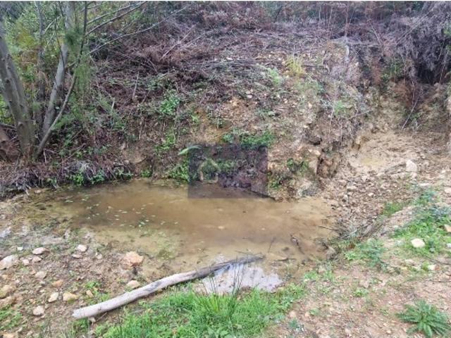 Terreno venda em Monchique, Faro