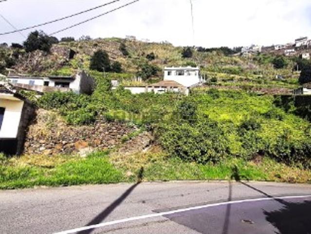 Terreno venda em Caldeira, Câmara de Lobos
