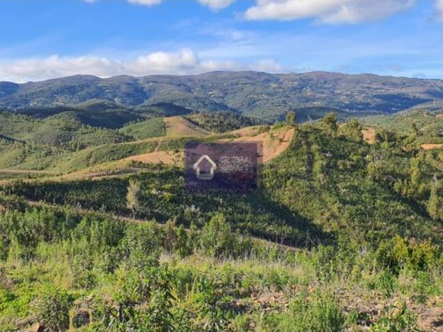 Terreno venda em Monchique, Faro