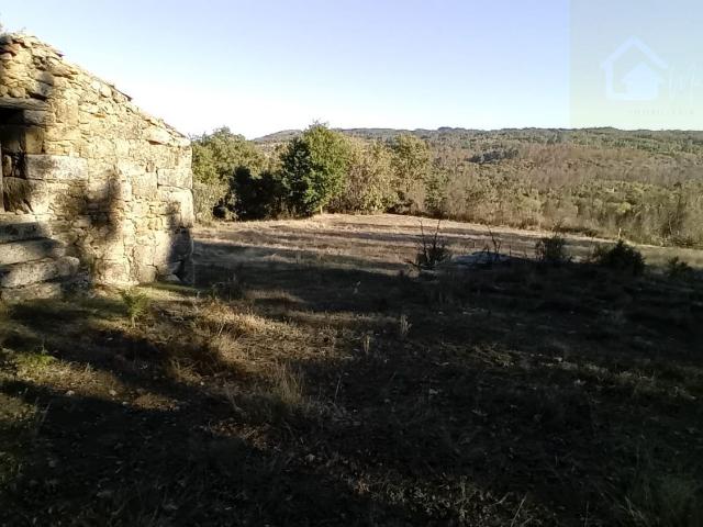 Casa venda em Penalva Do Castelo, Viseu