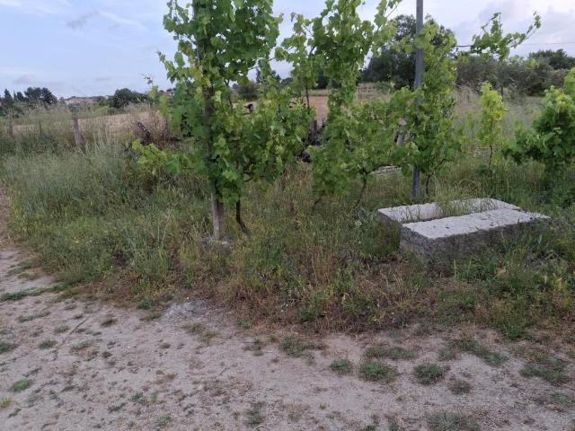 Quinta venda em Guarda, Celorico Da Beira