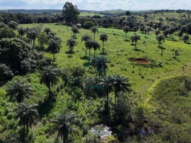 Sítio e chácara venda em Região Geográfica Imediata de Dores do Indaiá, Dores do Indaiá