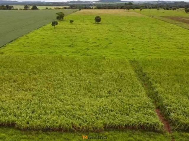 Sítio e chácara venda em Região Geográfica Imediata de Sinop, Terra Nova do Norte