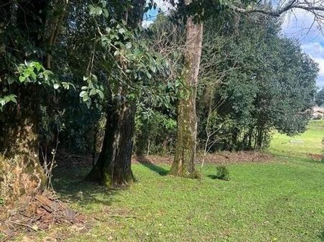 Sítio e chácara venda em Gramado