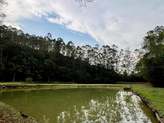 Sítio e chácara venda em Boa Vista, Mairiporã