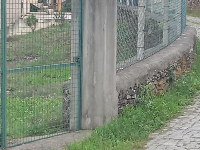 Terreno venda em Paredes, Bitarães