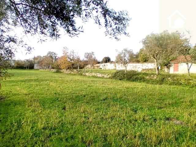Casa venda em Torre de Tavares, Mourilhe