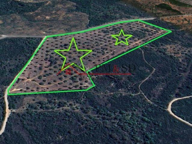 Terreno venda em Santarém