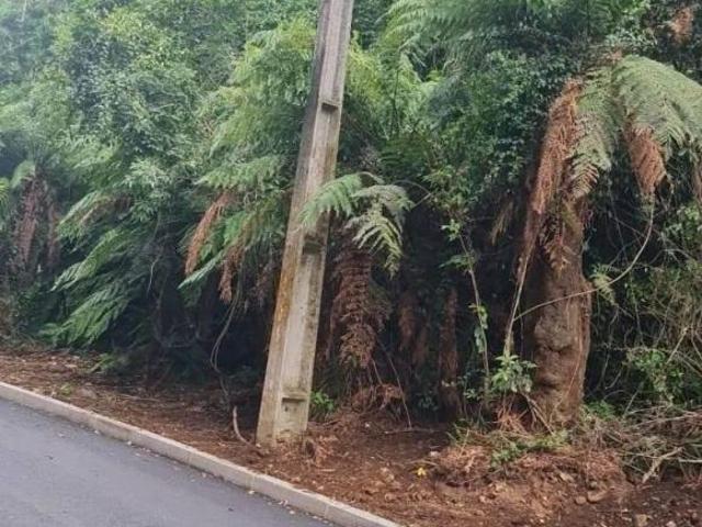 Terreno venda em Canela