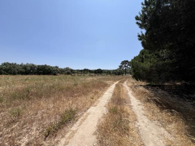 Terreno venda em Sesimbra (Castelo), Sesimbra