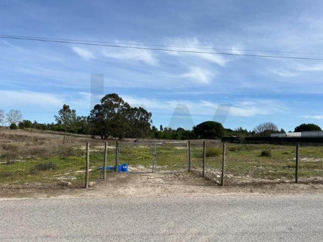 Terreno venda em Santo Estevão, Santo Estêvão