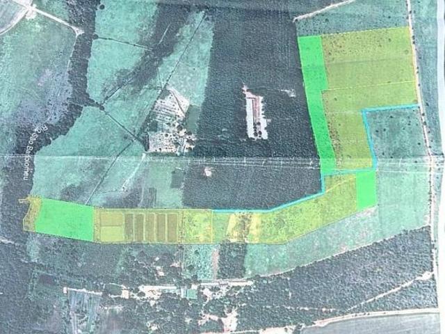 Sítio e chácara venda em Região Geográfica Imediata do Distrito Federal, Região Integrada de Desenvolvimento do Distrito Federal e Entorno