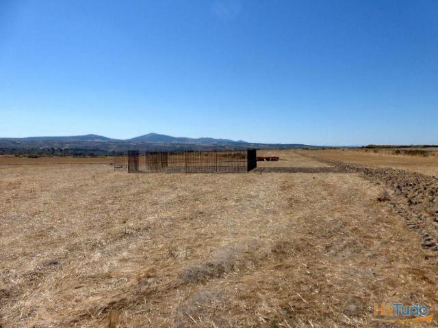 Terreno venda em Guarda, Figueira De Castelo Rodrigo