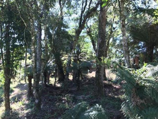 Terreno venda em Região Geográfica Imediata de Caxias do Sul, Canela