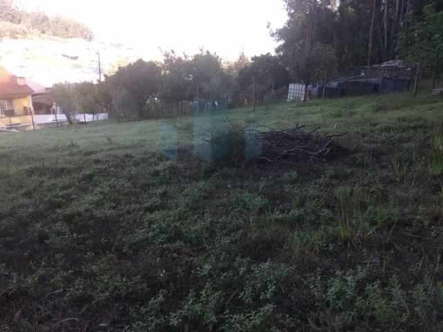 Terreno venda em Coimbrã, Ribeira De Frades
