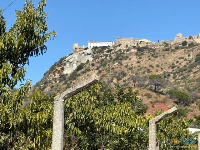 Quinta venda em Palmela, Setúbal