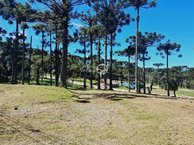 Terreno venda em Região Geográfica Imediata de Caxias do Sul, Canela