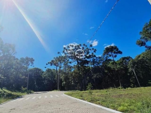 Terreno venda em Região Geográfica Imediata de Caxias do Sul, Canela