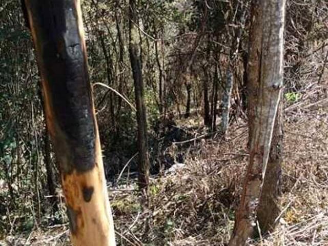 Terreno venda em Região Geográfica Imediata de Belo Horizonte, Região Metropolitana de Belo Horizonte