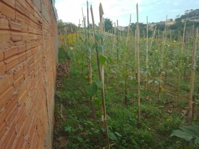Terreno venda em Região Imediata de Franca, Juranda